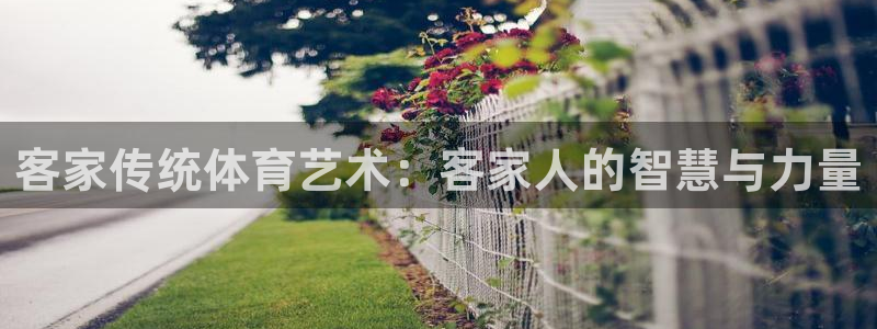 919体育：客家传统体育艺术：客家人的智慧与力量