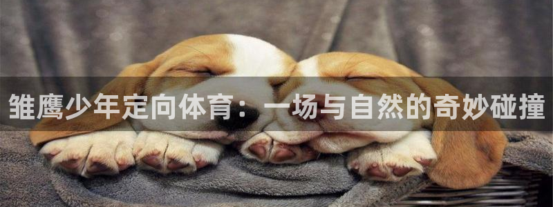 919体育直播APP版本更新内容：雏鹰少年定向体育：一场与自然的奇妙碰撞