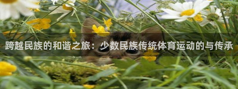 919体育NBA直播苹果版：跨越民族的和谐之旅：少数民族传统体育运动的与传承