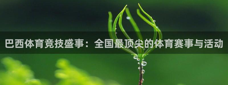 919体育直播APP版本更新内容：巴西体育竞技盛事：全国最顶尖的体育赛事与活动