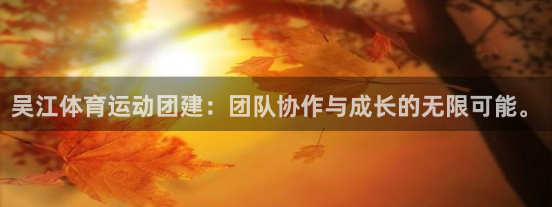 919体育直播官网：吴江体育运动团建：团队协作与成长的无限可能。