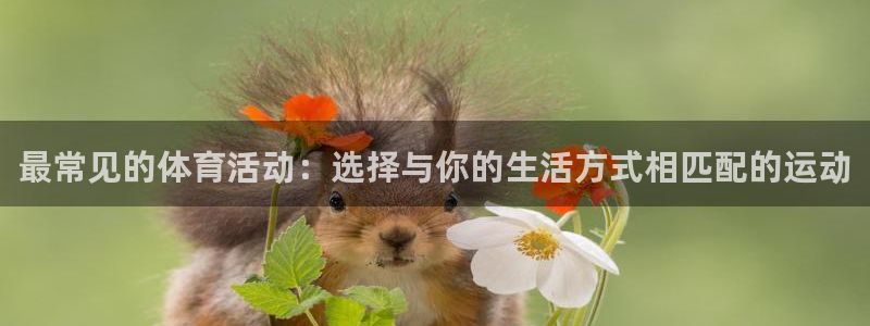 919体育赛事直播在线观看：最常见的体育活动：选择与你的生活方式相匹配的运动