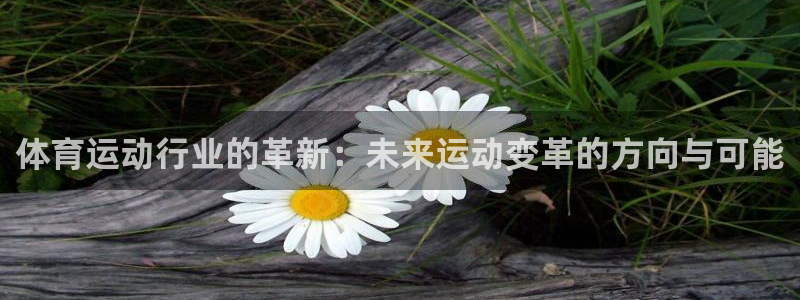 919体育有没有网盘：体育运动行业的革新：未来运动变革的方向与可能