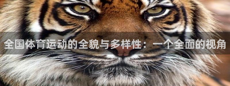 919体育直播平台亚洲杯：全国体育运动的全貌与多样性：一个全面的视角