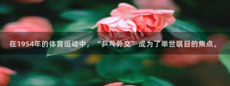 919体育在线直播官网：在1954年的体育运动中，“乒乓外交”成为了举世瞩目的焦点。