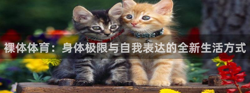 919体育专业直播平台：裸体体育：身体极限与自我表达的全新生活方式