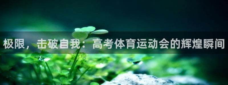 919体育：极限，击破自我：高考体育运动会的辉煌瞬间